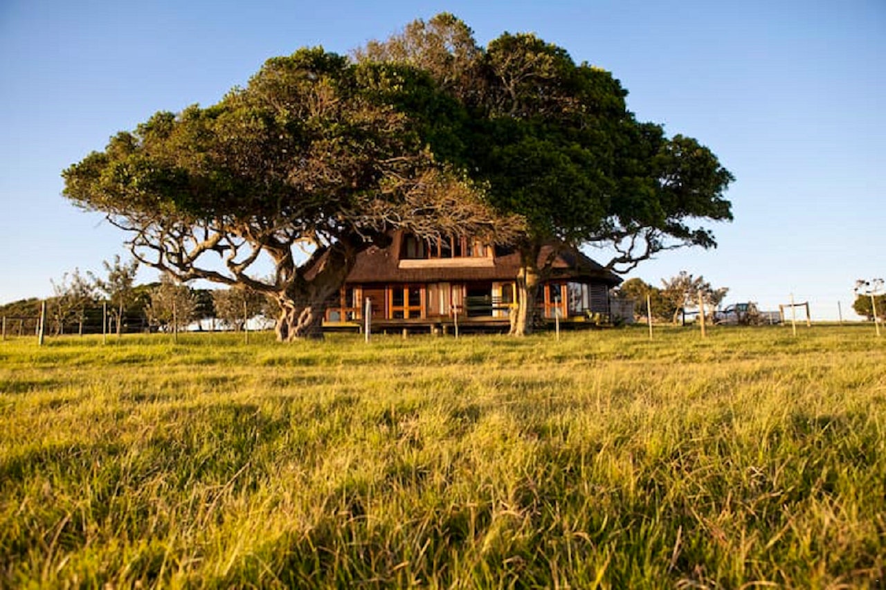 Eastern Cape Accommodation at  | Viya