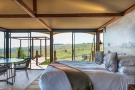 Cradle Of Humankind Accommodation at  | Viya