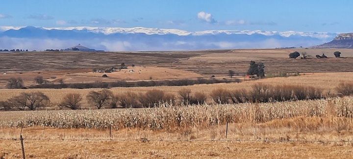 Free State Accommodation at Willowdene Guest Farm | Viya