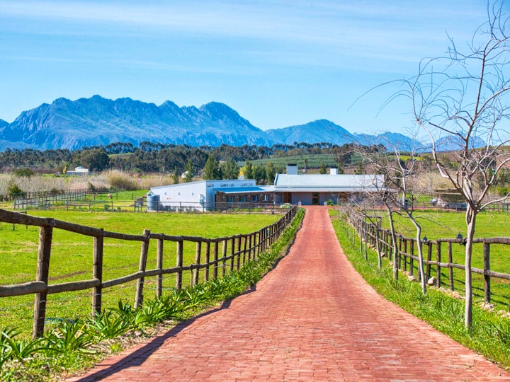 Cape Winelands Accommodation at Galloway Guest House | Viya