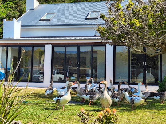 Garden Route Accommodation at  | Viya