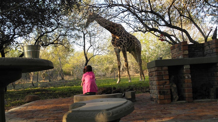 Kruger National Park South Accommodation at Doringpoort: Delagoadoring | Viya