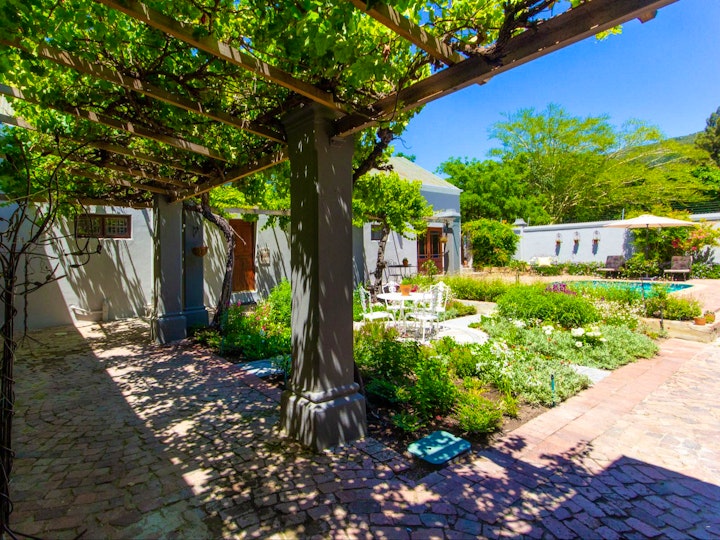 Western Cape Accommodation at Olive Tree | Viya