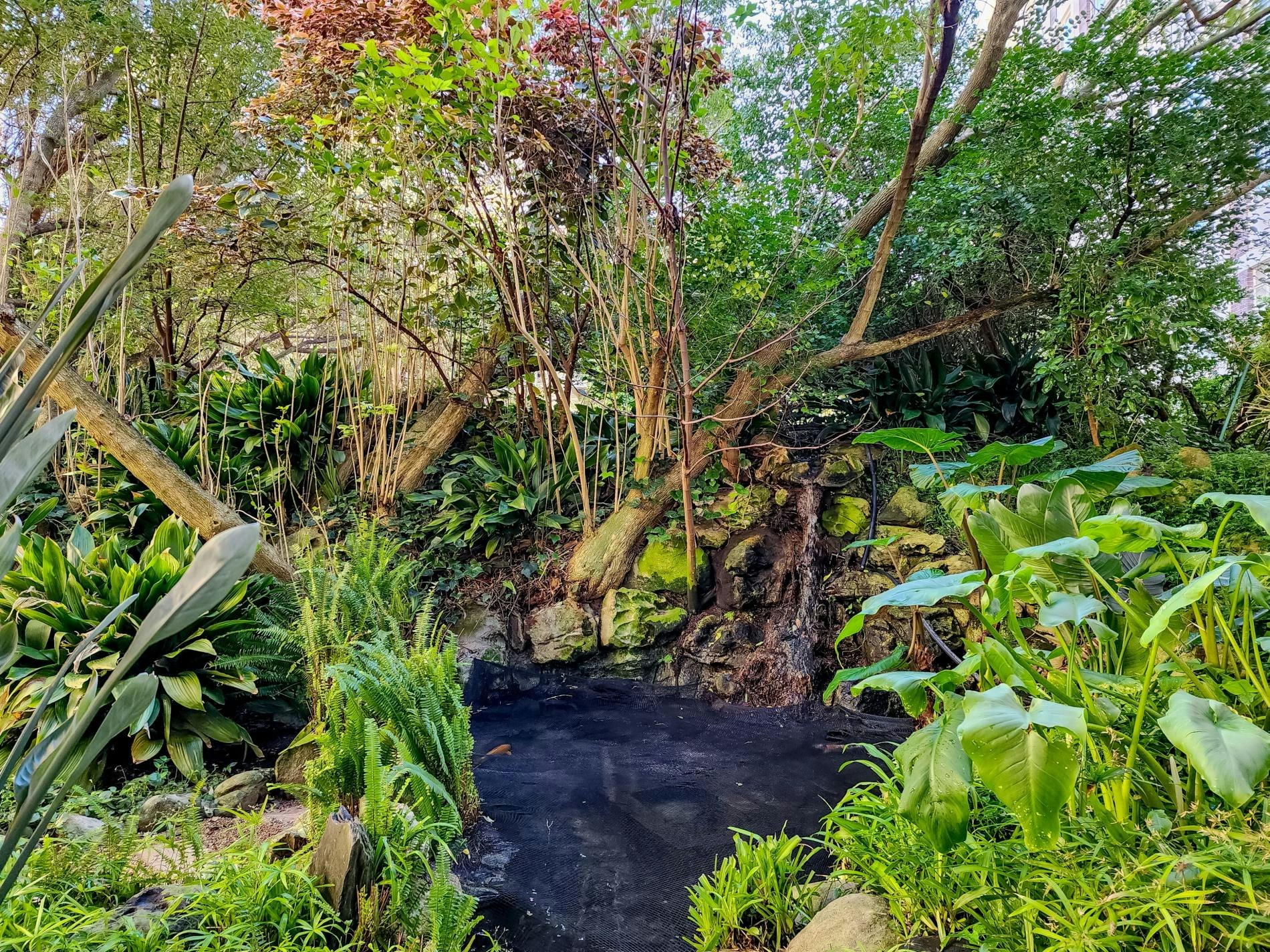 St Martini Gardens Garden Apartment image no 30 of 36