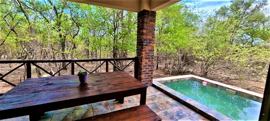 Kruger National Park South Accommodation at  | Viya