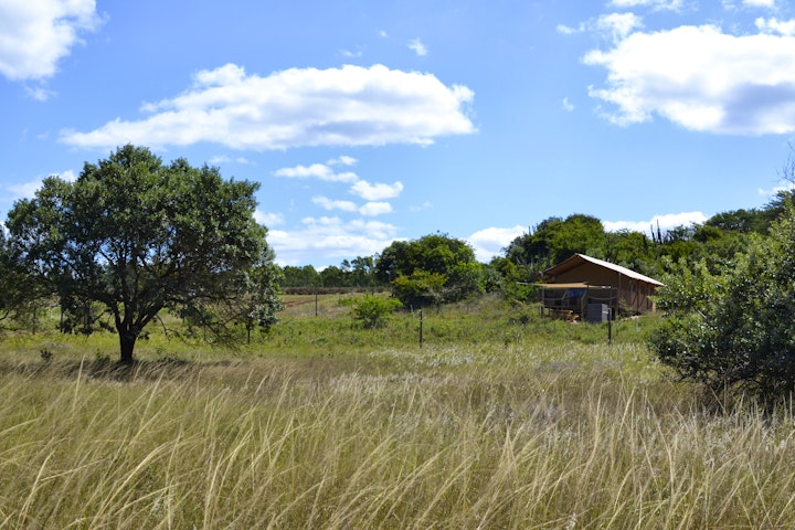 KwaZulu-Natal Accommodation at Hluhluwe Bush Camp | Viya