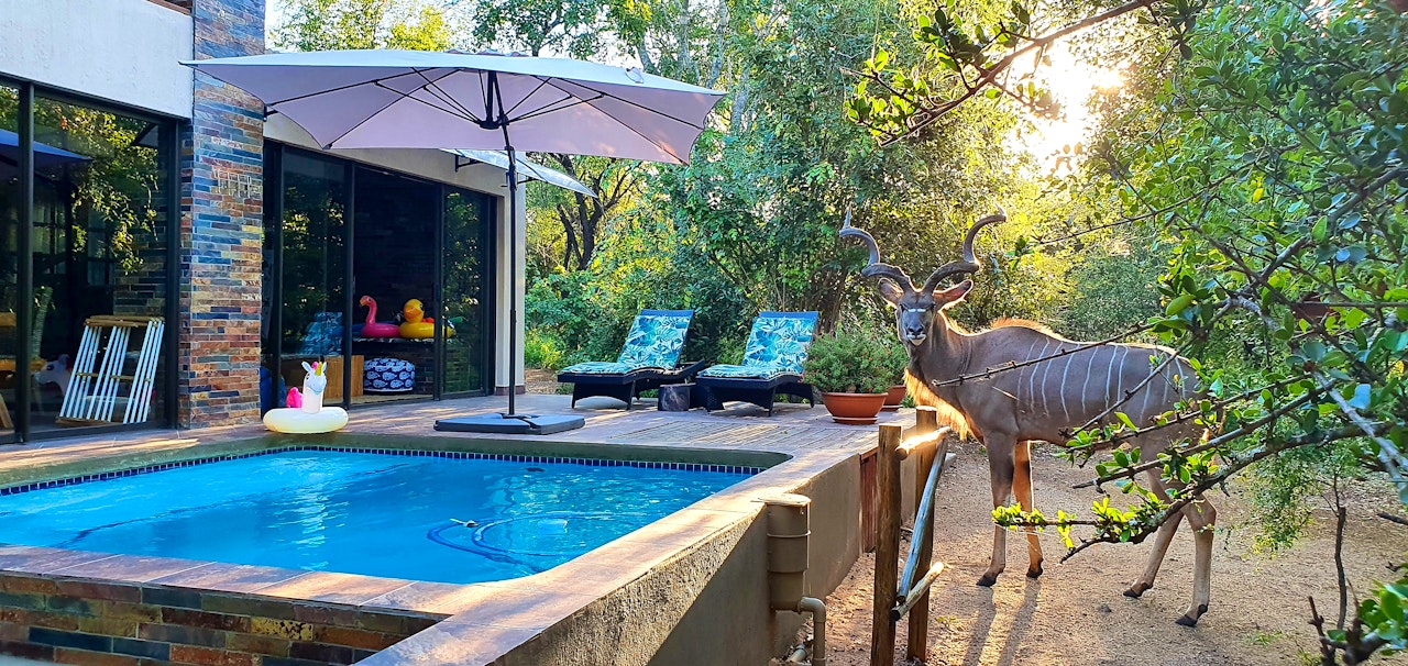 Kruger National Park South Accommodation at  | Viya