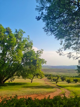 Soutpansberg Mountains Accommodation at La Luna @ Misty Mountains | Viya