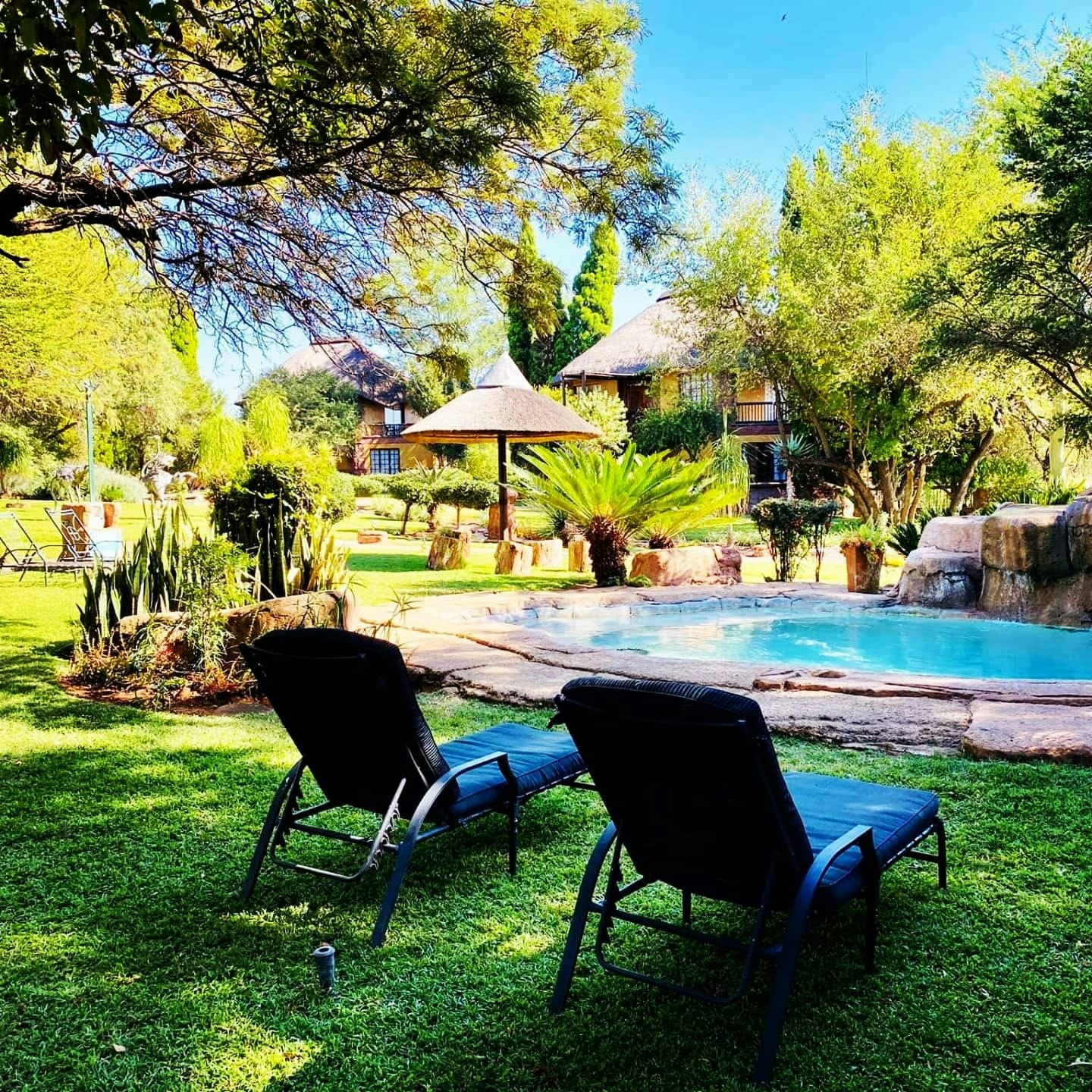 African Lion Lodge | LekkeSlaap