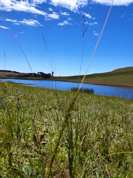 Panorama Route Accommodation at Dullstroom on the Dam | Viya