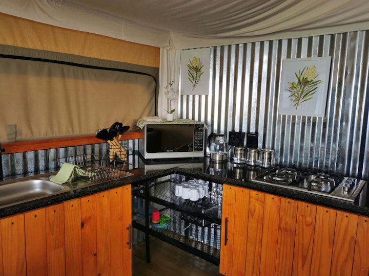 Cradle Of Humankind Accommodation at Idwala Le Ingwe Lodge | Viya