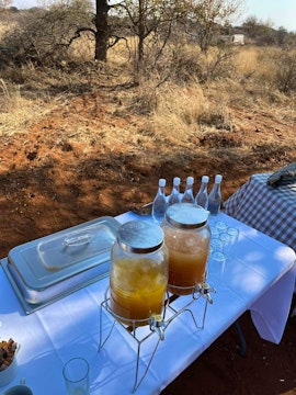 Limpopo Accommodation at Oxford Safaris | Viya