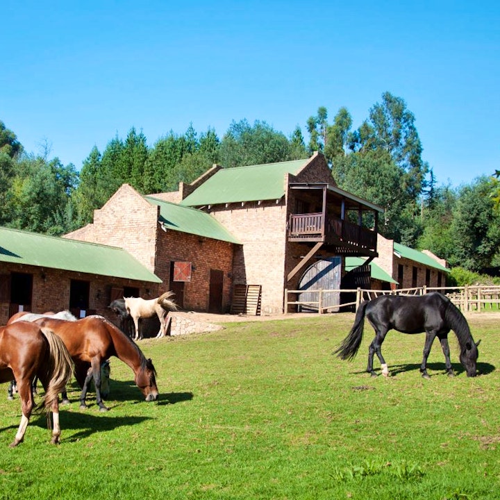 Mpumalanga Accommodation at Dunkeld Country and Equestrian Estate | Viya