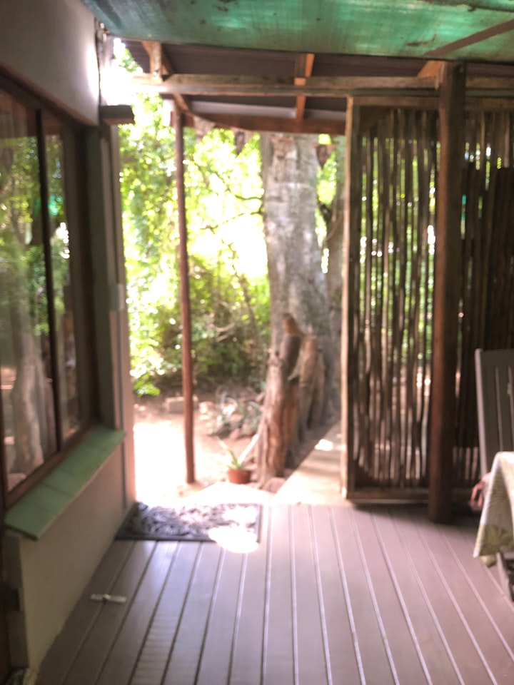 KwaZulu-Natal Accommodation at Lebombo Wattle Cottage - Forest 1 | Viya