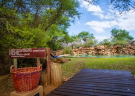 North West Accommodation at Madikwe River Lodge | Viya