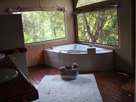 Limpopo Accommodation at Lion Tree Top Lodge | Viya