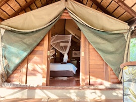 Kruger National Park South Accommodation at  | Viya