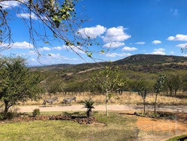 Panorama Route Accommodation at Khululeka Safaris Lodge | Viya