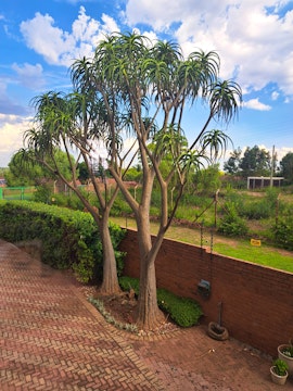 Pretoria Accommodation at Casa Mana | Viya