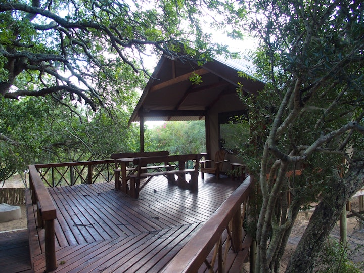 Limpopo Accommodation at Lion Tree Top Lodge | Viya