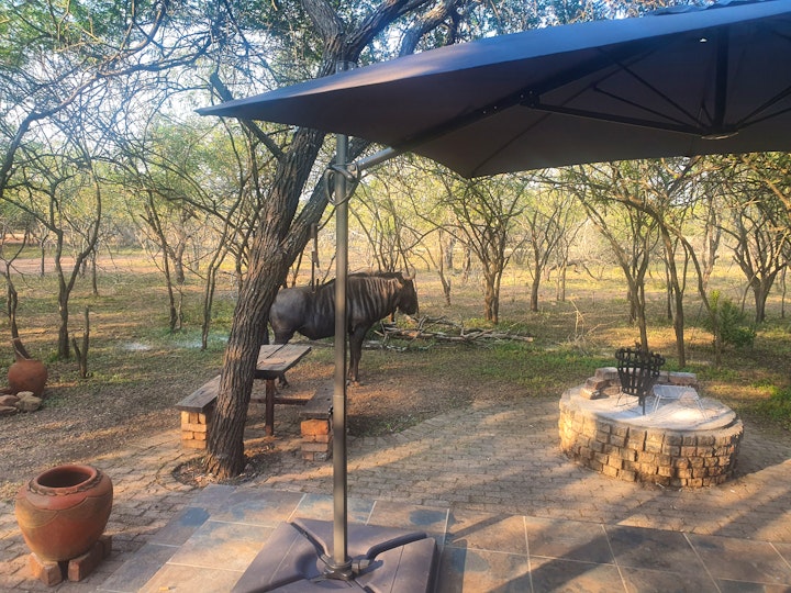 Kruger National Park South Accommodation at Yochanan | Viya