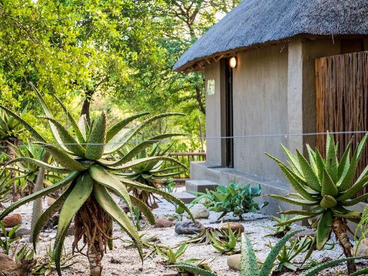 Mpumalanga Accommodation at Nkanyi Wildlife House and Cottage | Viya