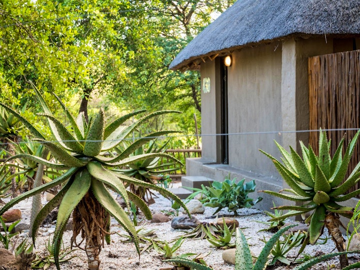 Limpopo Accommodation at Nkanyi Wildlife House and Cottage | Viya