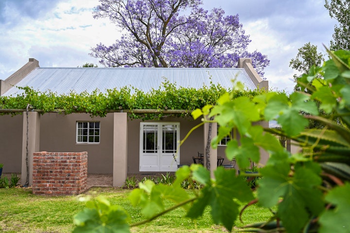 Western Cape Accommodation at Saronsberg Vineyard Cottages | Viya