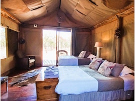 Dinokeng Game Reserve Accommodation at  | Viya