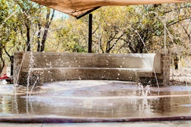 Dinokeng Game Reserve Accommodation at Bushbabies Lodge | Viya