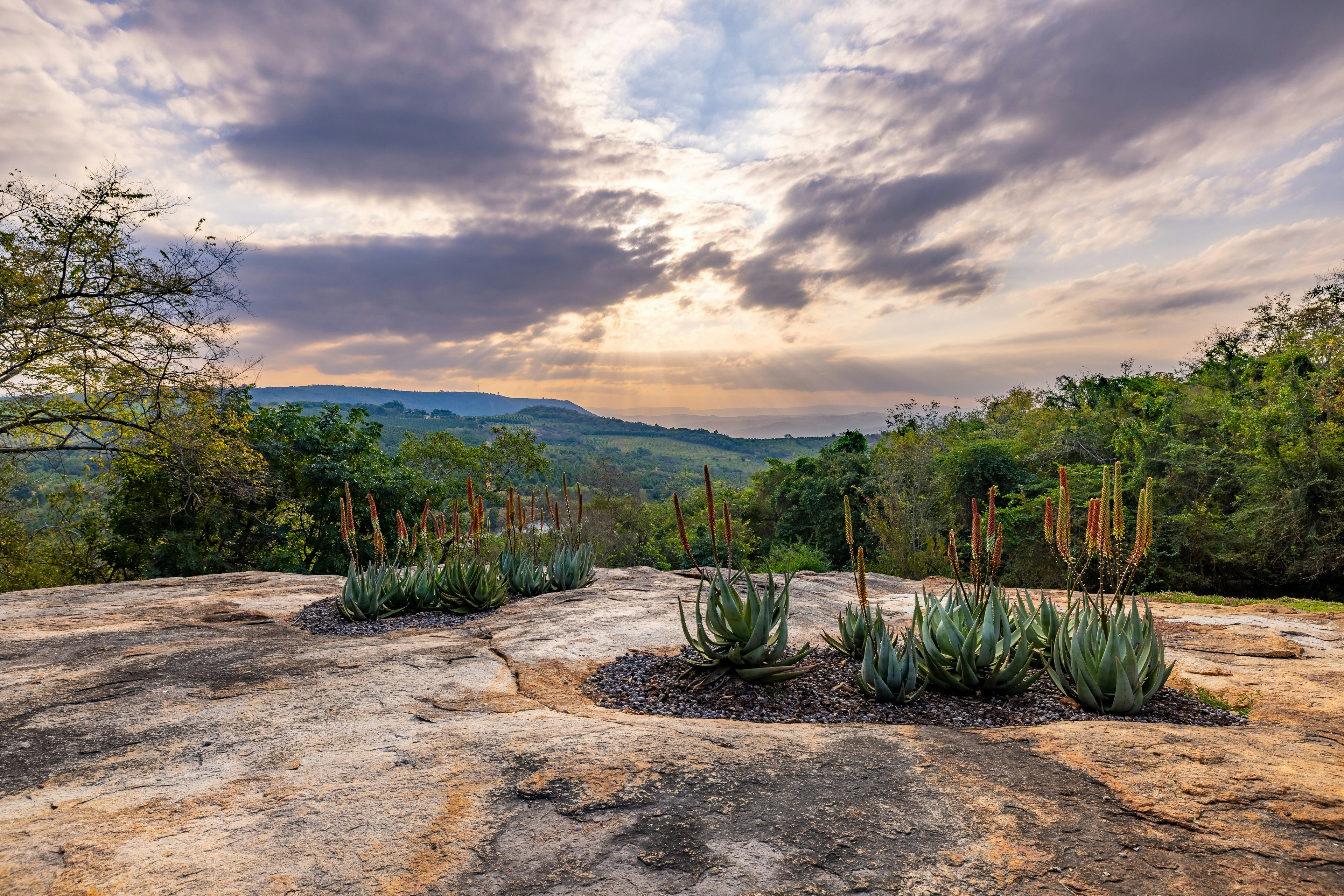 Ulwazi Rock Lodge image no 17 of 17