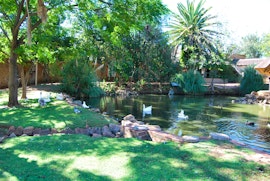 North West Accommodation at Kumkani Country Lodge | Viya