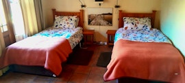 West Coast Accommodation at Driftwood Self-Catering Home | Viya