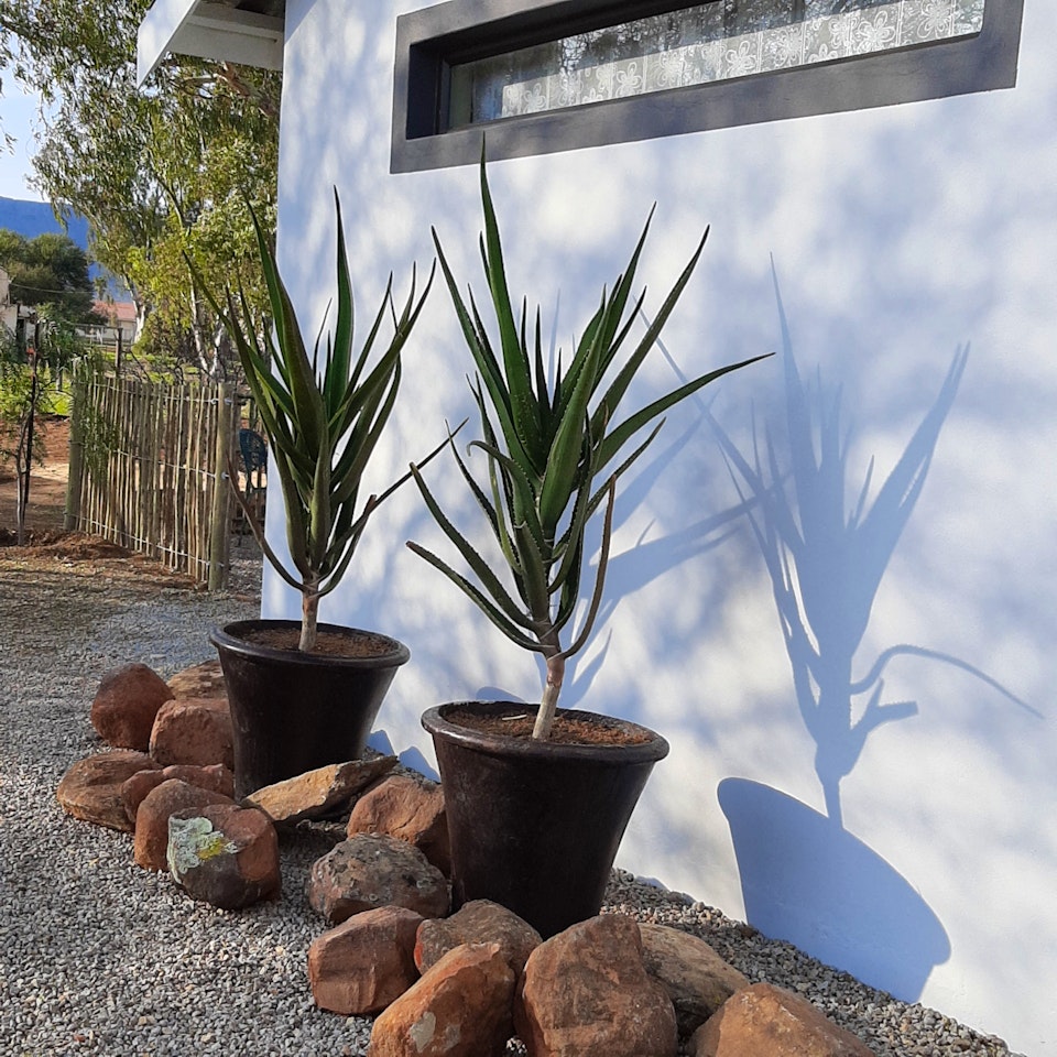 Tankwa Karoo Accommodation at  | Viya