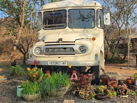 Mpumalanga Accommodation at Kokiville Homestead - School Bus Living | Viya