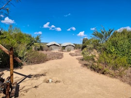 Limpopo Accommodation at Ilala Wildsplaas | Viya