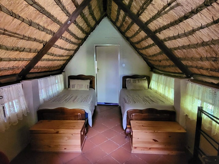 Limpopo Accommodation at Shelanti Game Reserve | Viya