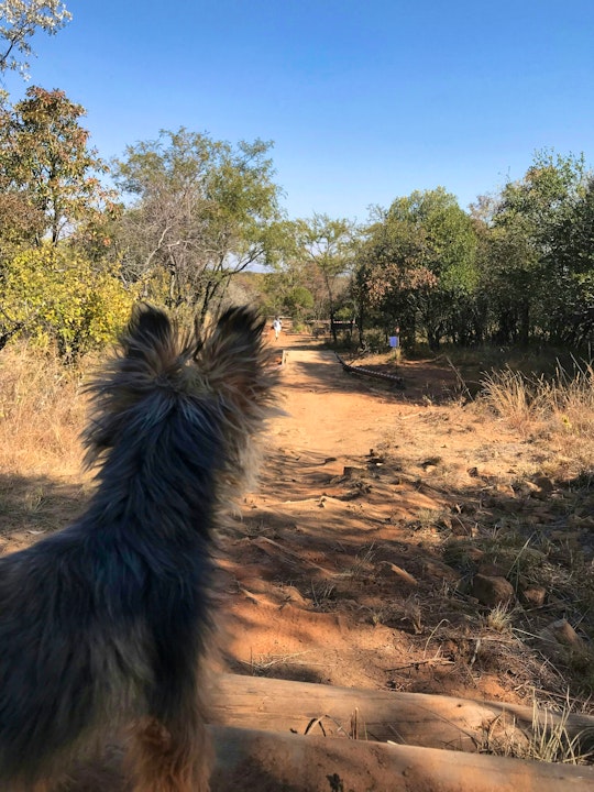 Waterberg Accommodation at  | Viya