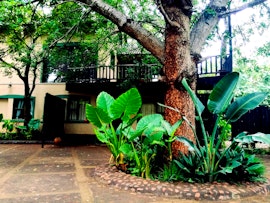 Kruger National Park South Accommodation at Boomhuisie | Viya