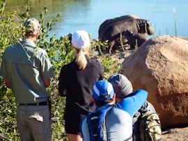 Kruger To Canyons Accommodation at Blyde River Log House | Viya