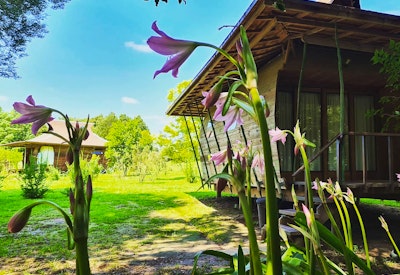 at The Shire Eco Lodge | TravelGround