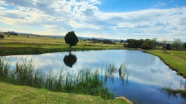 Mpumalanga Accommodation at The Hungry Otter | Viya