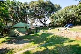 Wild Coast Accommodation at  | Viya