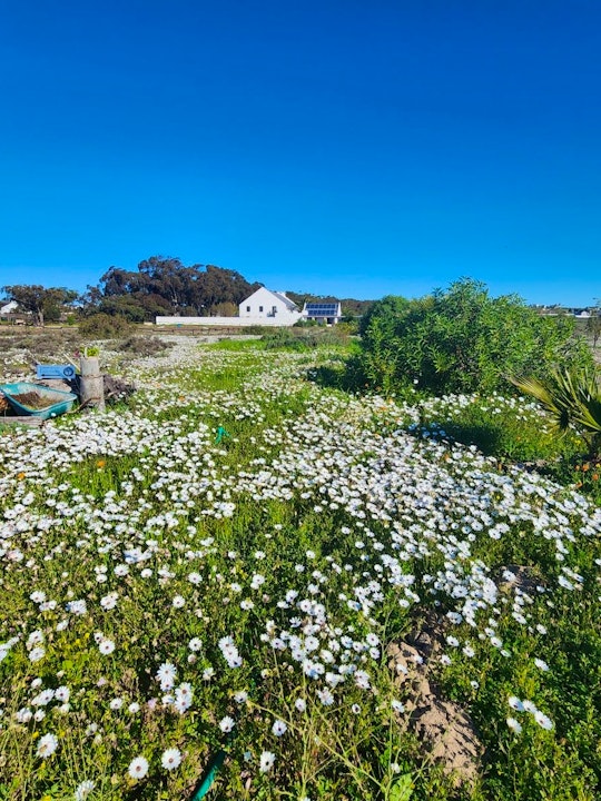 Langebaan Accommodation at  | Viya