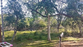 North Coast Accommodation at Bonamanzi Game Reserve - Camp Sites | Viya