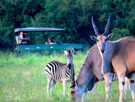 Waterberg Accommodation at AfriCamps Waterberg | Viya