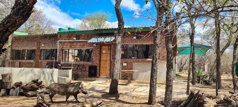 Kruger National Park South Accommodation at  | Viya