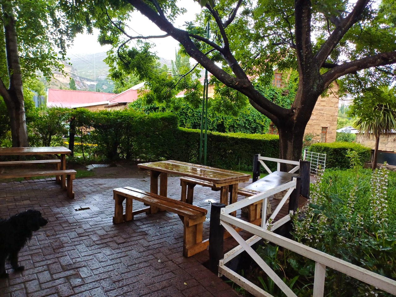 Drakensberg Accommodation at  | Viya