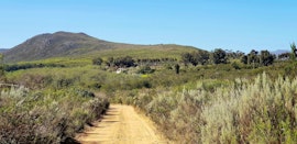 Overberg Accommodation at Cottage The Chapel @ Berg n Dal Heritage Farm | Viya