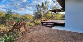 Kruger To Canyons Accommodation at  | Viya